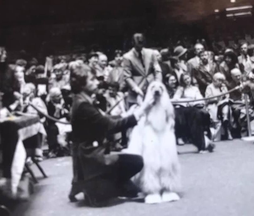 Question of the Week